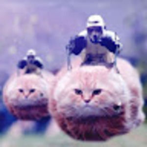 Meet your Posher, Thethiccrat